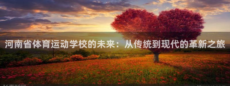 安信16官网