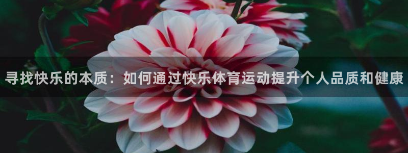 意昂包怎么样