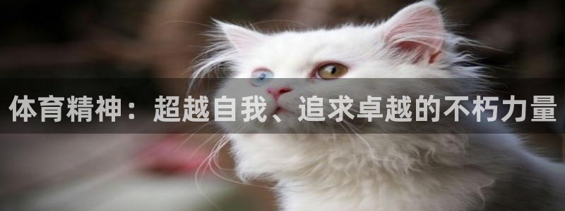 安信16体育app下载
