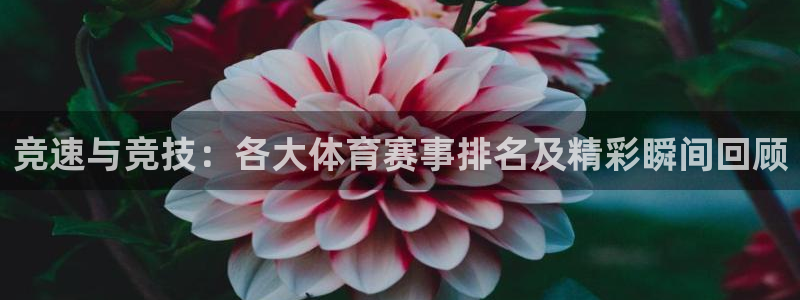 安信16体育f开户