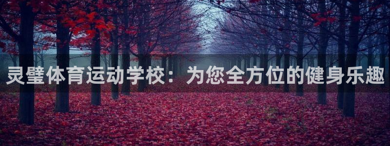 安信16包怎么样